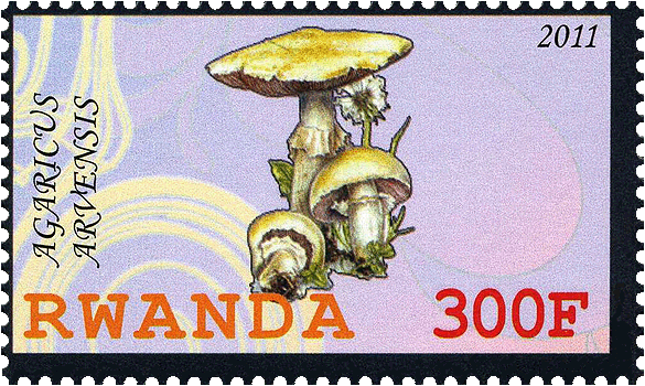 Briefmarke
