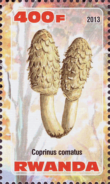 Briefmarke