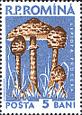 Briefmarke