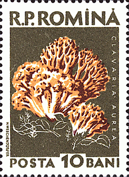 Briefmarke