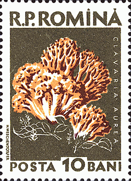 Briefmarke