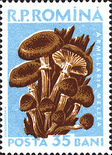 Briefmarke