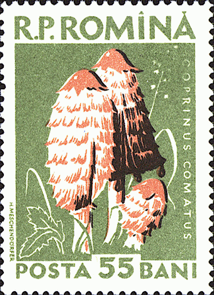 Briefmarke