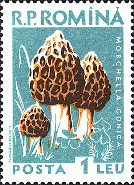 Briefmarke
