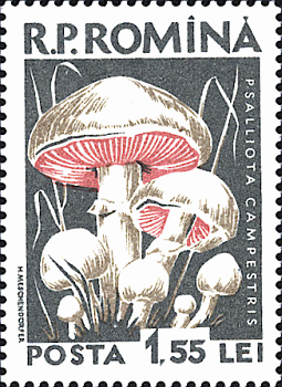 Briefmarke