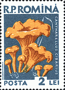 Briefmarke