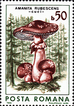Briefmarke