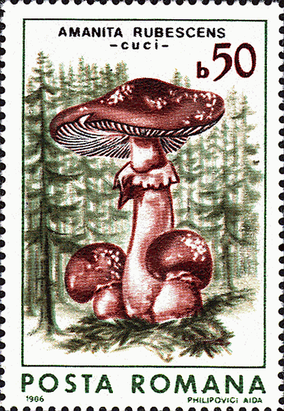 Briefmarke