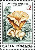 Briefmarke
