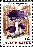 Briefmarke