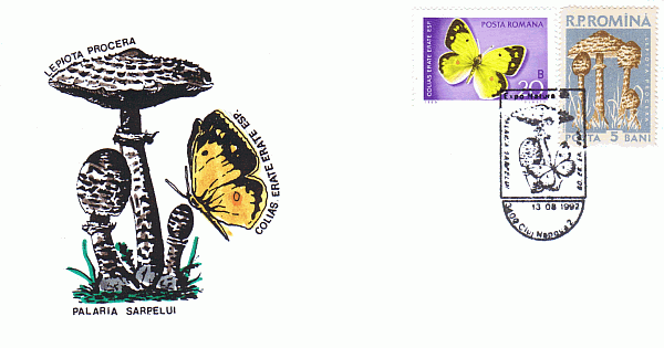 Sonderbriefumschlag