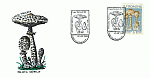 Sonderbriefumschlag