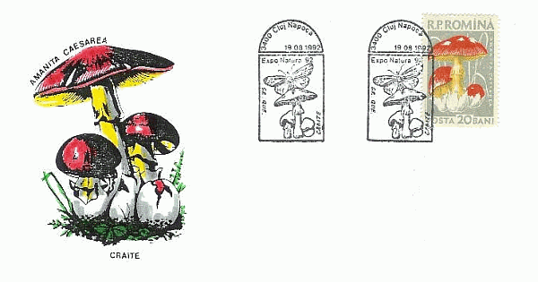 Sonderbriefumschlag