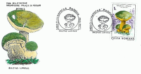 Sonderbriefumschlag