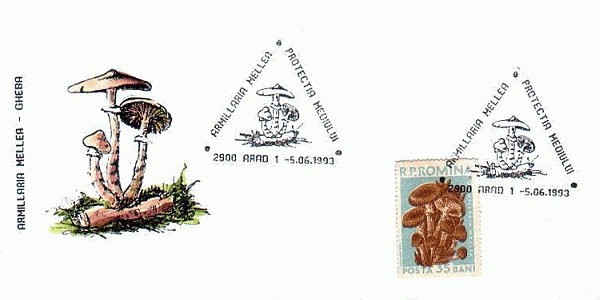 Sonderbriefumschlag