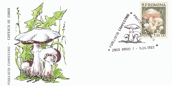 Sonderbriefumschlag