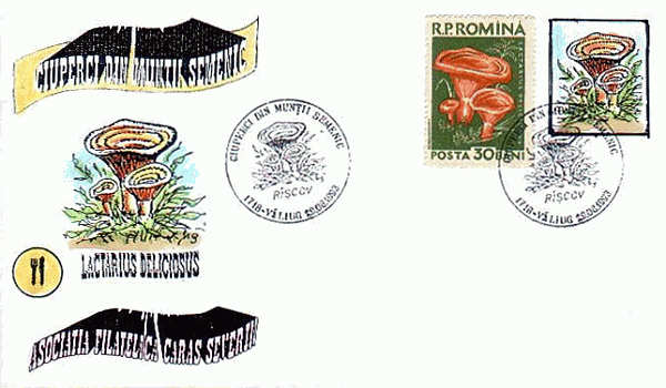 Sonderpostkarte