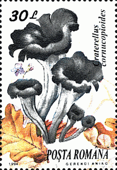 Briefmarke