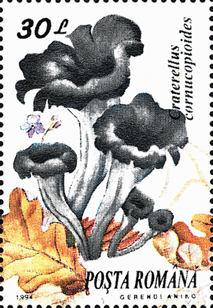 Briefmarke