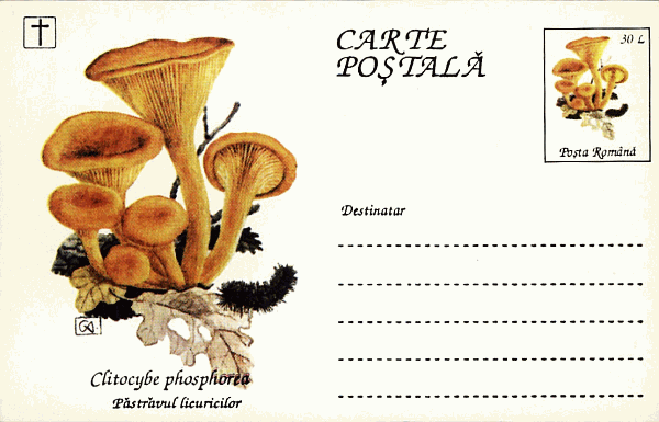 Ganzsachenumschlag