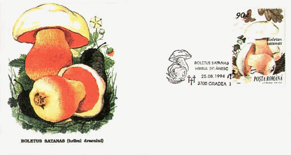Sonderbriefumschlag