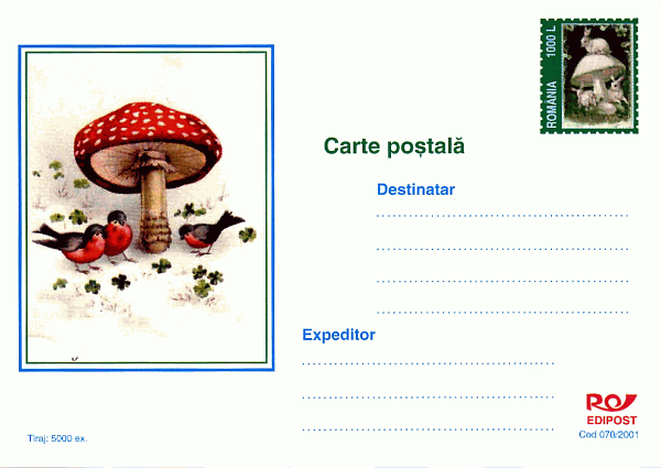 Bildgpostkarte