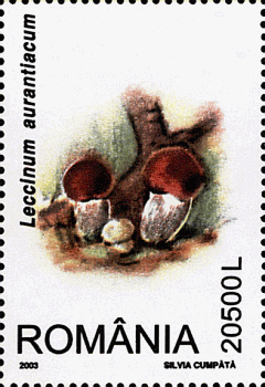 Briefmarke