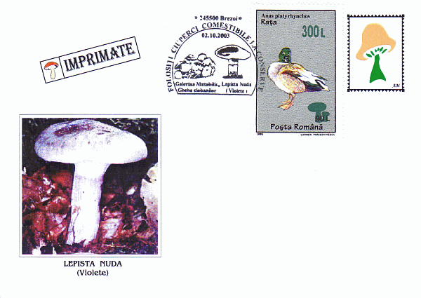 Sonderpostkarte