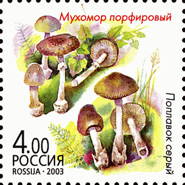 Briefmarke