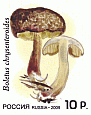Briefmarke