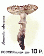 Briefmarke