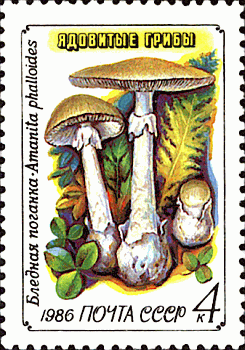 Briefmarke