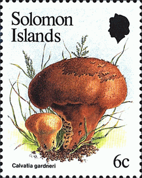 Briefmarke