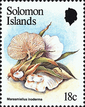 Briefmarke