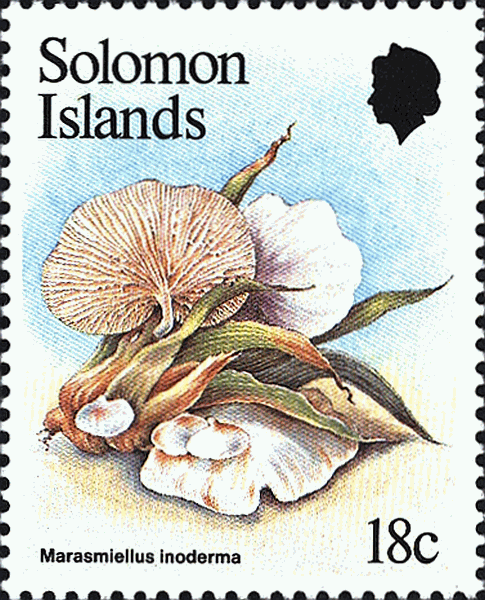 Briefmarke