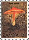 Briefmarke