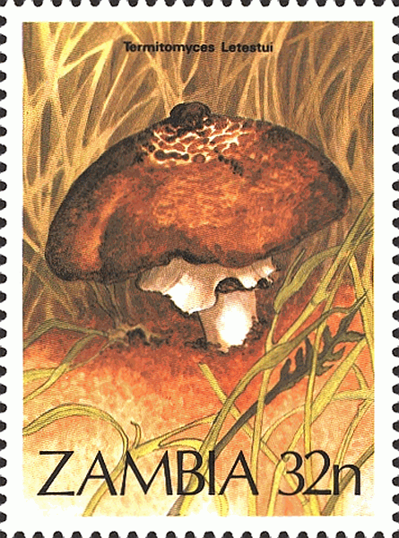 Briefmarke