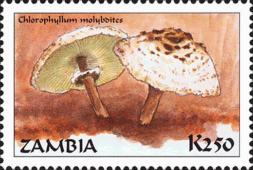 Briefmarke
