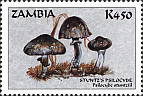Briefmarke