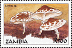 Briefmarke