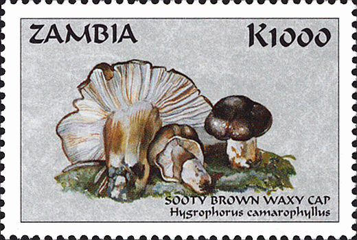 Briefmarke