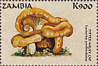 Briefmarke