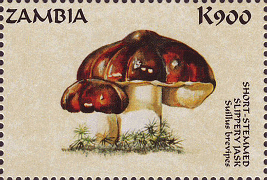 Briefmarke