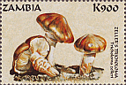 Briefmarke