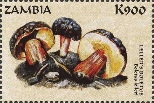 Briefmarke