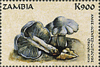 Briefmarke