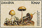 Briefmarke