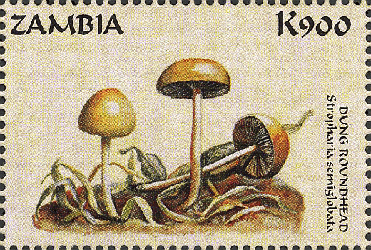 Briefmarke