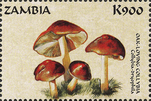 Briefmarke