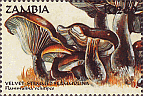 Briefmarke